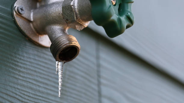 Best Local Plumber Services  in Dellwood, MN